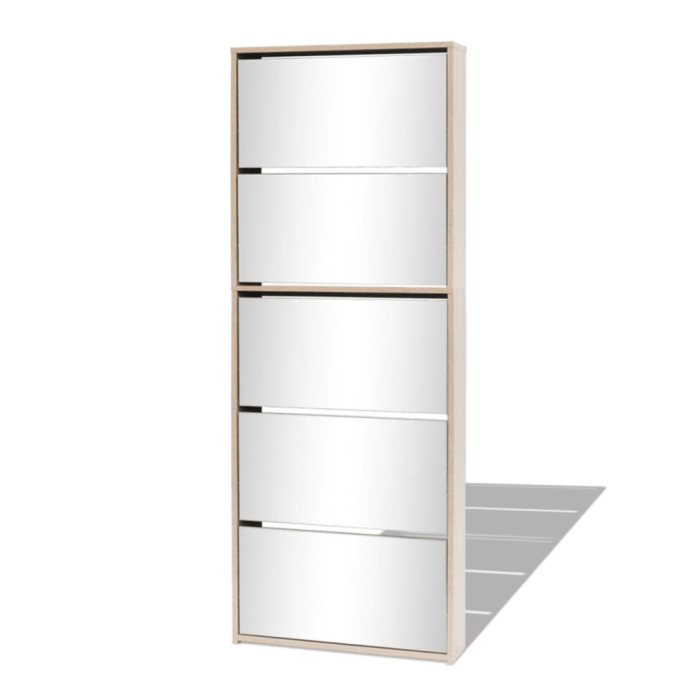 Pantofar cu 5 niveluri si oglinda, stejar, 63 x 17 x 169,5 cm