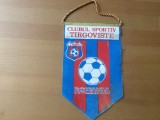 Fanion C.S. clubul sportiv Targoviste Tirgoviste romania RSR club echipa sport