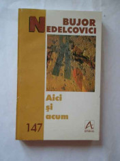 Aici Si Acum - Bujor Nedelcovici ,268956 foto