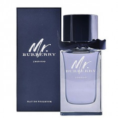 Burberry Mr. Burberry Indigo EDT 100 ml pentru barbati foto