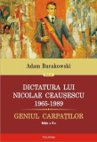Dictatura lui Nicolae Ceauşescu (1965-1989). Geniul Carpaţilor