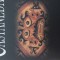 Carlos Castaneda, invataturile lui Don Juan (foarte buna)