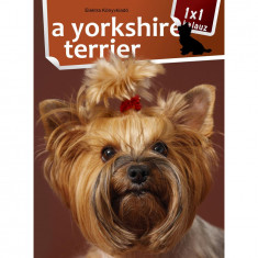 1x1 - A yorkshire terrier - Varga Mónika