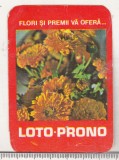 bnk cld Calendar de buzunar 1981 - Loto Prono