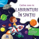 Cumpara ieftin Cartea Mea Cu Labirinturi In Spatiu, - Editura DPH