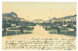 5760 - TURNU-SEVERIN, Park, Litho, Romania - old postcard - used - 1904