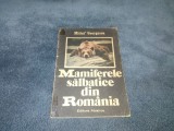 MITICA GEORGESCU - MAMIFERELE SALBATICE DIN ROMANIA