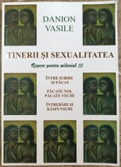 Tinerii si sexualitatea - Danion Vasile