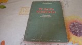 Richard Squires - Pe calea razboiului - insemnarile unui ofiter englez - 1954