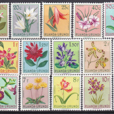 DB1 Flora Flori 1953 Ruanda Urundi 19 v. MNH