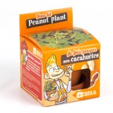 Cumpara ieftin Kit pentru plantat - Arahide - Je fais pousser mes cacahuetes | Radis et Capucine