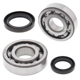 Cumpara ieftin Lagare cu arbore cotit set cu garnituri pentru SUZUKI RM-X 250 1989-1994