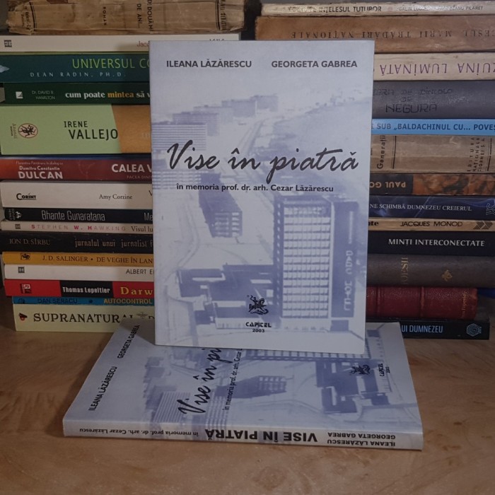 ILEANA LAZARESCU - VISE IN PIATRA : IN MEMORIA PROF. CEZAR LAZARESCU , 2003 #