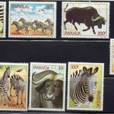 RUANDA Rwanda 1984, Fauna, serie neuzata, MNH