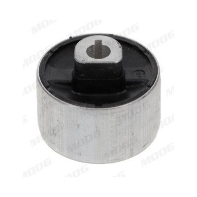 Moog suport, trapez foto