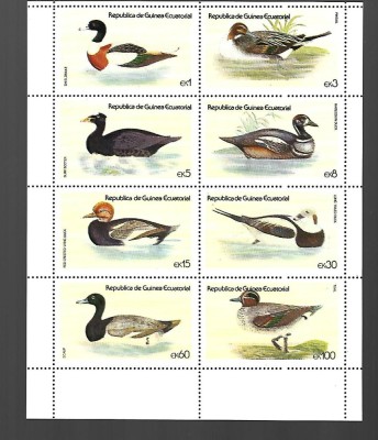 guinea ecuatoriala mnh foto