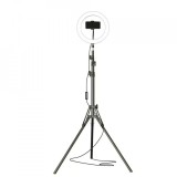Ring Light 30cm cu Trepied 2m, 120 LED SMD, 3 Culori, Telecomanda, Suport Telefon, Lampa Circulara Make-up, Vlog, Foto