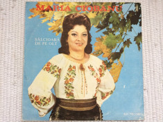 maria ciobanu salcioara de pe olt album disc vinyl lp muzica populara folclor foto