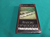 ITINERARE ARHEOLOGICE TRANSILVĂNENE * ION HORAȚIU CRIȘAN /1982 * 11
