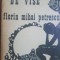 Cioplitor de vise- Florin Mihai Petrescu