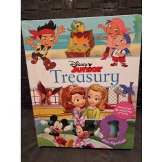 Treasury, Disney juniors