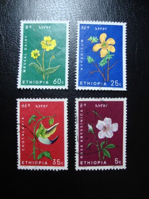 ETIOPIA FLORI foto