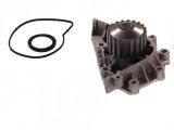 Pompa apa CITROEN C5 I (DC) (2001 - 2004) THERMOTEC D1P042TT