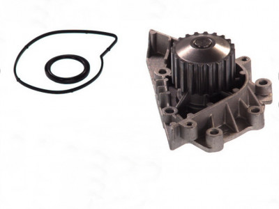 Pompa apa CITROEN XSARA (N1) (1997 - 2005) THERMOTEC D1P042TT foto