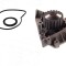 Pompa apa FIAT SCUDO combinato (220P) (1996 - 2006) THERMOTEC D1P042TT