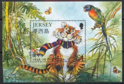Jersey 1998 - Anul Tigrului, colita neuzata foto