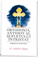 Ortodoxia, antidot al sufletului intristat - Pr. Visarion Alexa foto