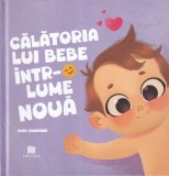 Carte Omid Ghannadi "Calatoria lui Bebe intr-o lume noua", 30 pagini, 2024, Cartonata, 13x20 cm, Limba Romana, Stare Buna