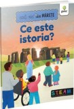 Cumpara ieftin Ce este istoria? Carti mici, idei marete/***, Gama