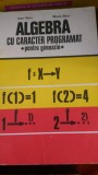 Algebra cu caracter programat pentru gimnaziu D.Nica,M.Nica 1978