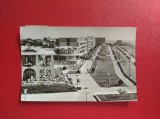 CARTE POSTALA - RSR - MANGALIA - PE FALEZA