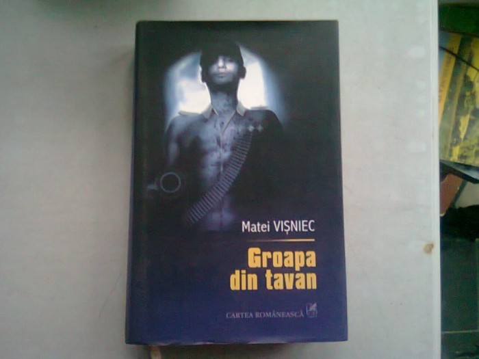 GROAPA DIN TAVAN - MATEI VISNIEC