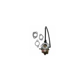Carburator compatibil cu BRIGGS &amp;amp; STRATTON 799802, ABO-799802