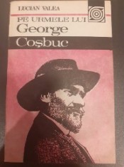 Pe urmele lui George Cosbuc-Lucian Valea foto