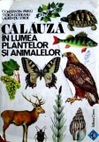 Calauza in lumea plantelor si animalelor - Constantin Parvu