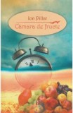Camara De Fructe, Ion Pilat - Editura Astro