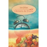Camara De Fructe, Ion Pilat - Editura Astro