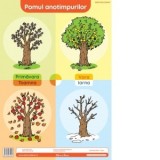 Pomul anotimpurilor. Plansa didactica A3