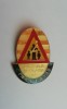 QW9 J 99 - Insigna - tematica pionieri - Patrula scolara de circulatie - mare, Romania de la 1950