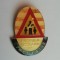 QW9 J 99 - Insigna - tematica pionieri - Patrula scolara de circulatie - mare