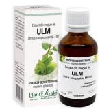EXTRACT DIN MUGURI DE ULM 50ML, Plantextrakt