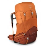 Rucsacul Osprey Ace 38 Orange