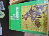Din viața animalelor vintage