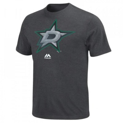 Dallas Stars tricou de bărbați Raise the Level grey - S foto