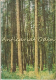 Cumpara ieftin La Sylviculture En Roumanie - Filip Tomulescu