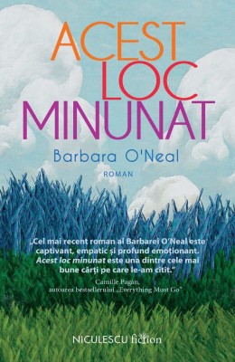 Acest Loc Minunat, Barbara O Neal - Editura Niculescu foto